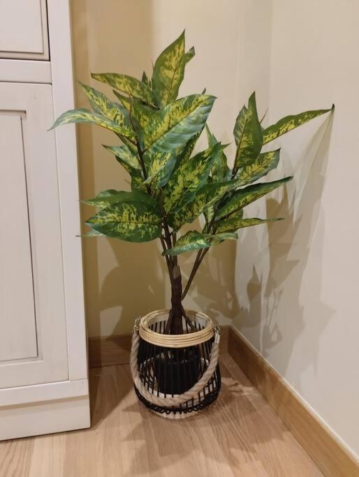 Urbion Etxea Appartement